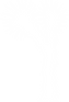 IMG_3774.PNG