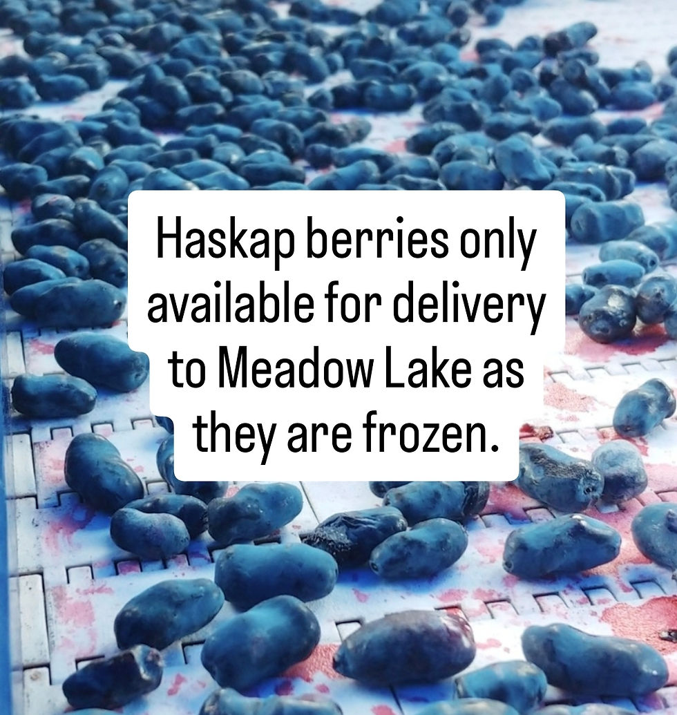 Thumbnail: Haskaps-Frozen 1.2 Kg