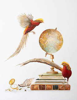 Le tour du Monde