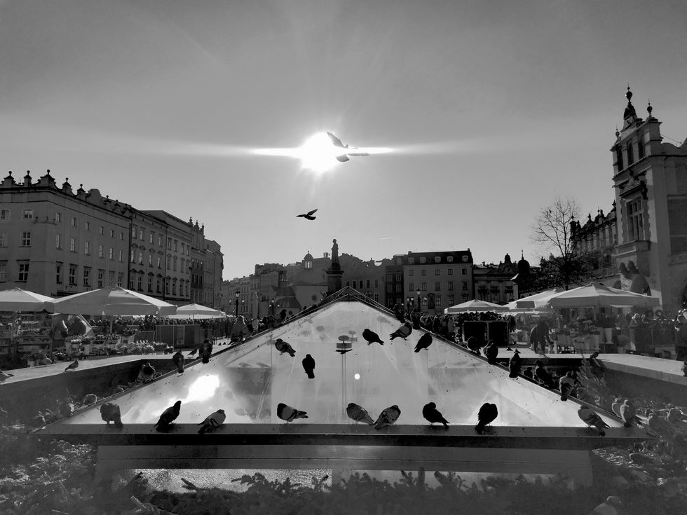 467317022_10227428449163942_2678510704956063208_n