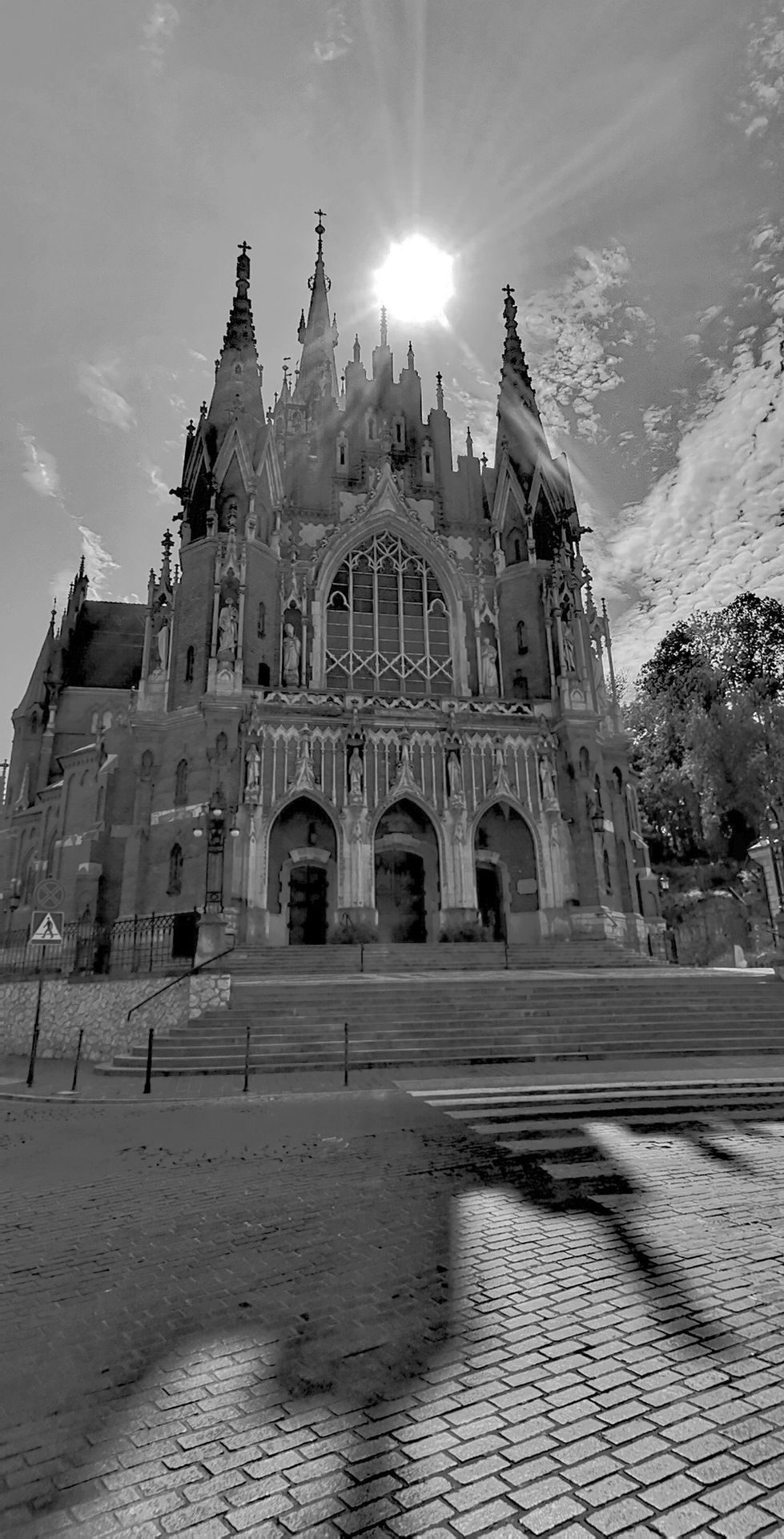 458224889_10226406783742945_5448544497962376023_n