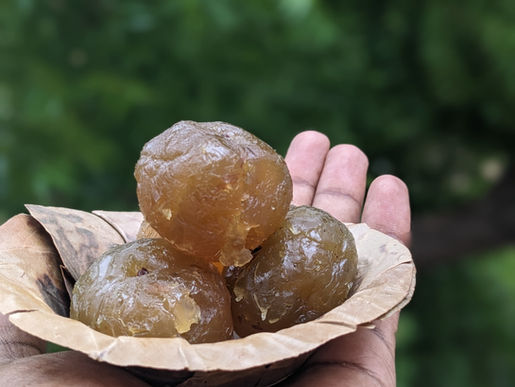 Top 10 Health Benefits of Honey amla