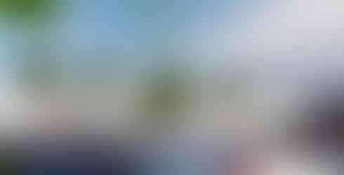 Un programme mixte (Locaux d'activités + Commerces) est proposé à la vente (VEFA), et situé sur l’Avenue du Languedoc