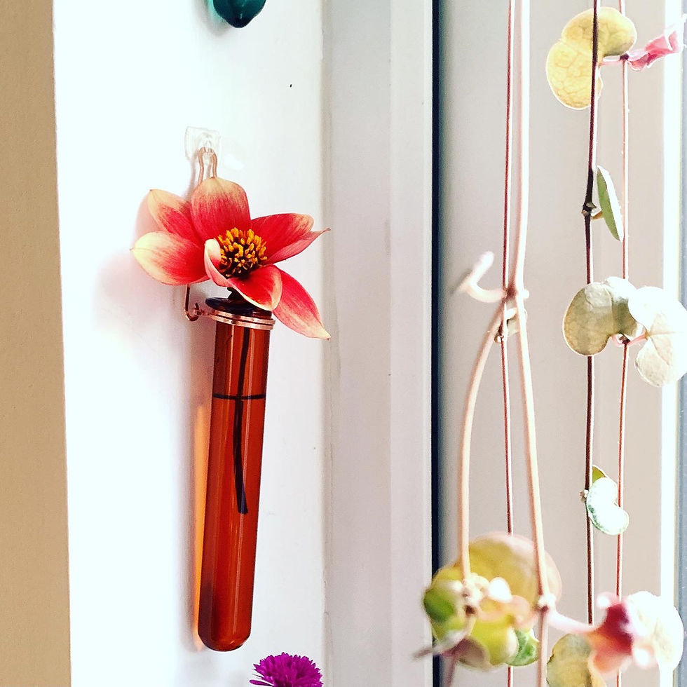 Thumbnail: Hanging Glass Vase