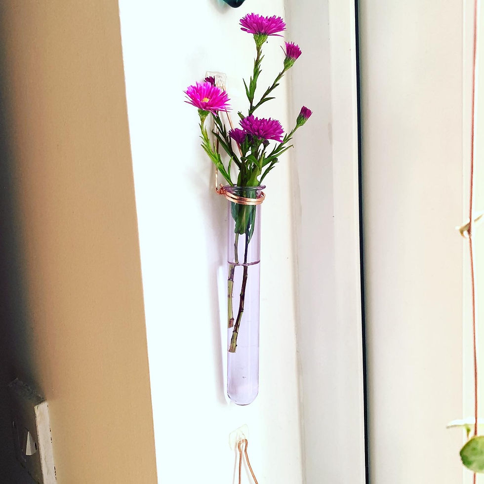 Thumbnail: Hanging Glass Vase