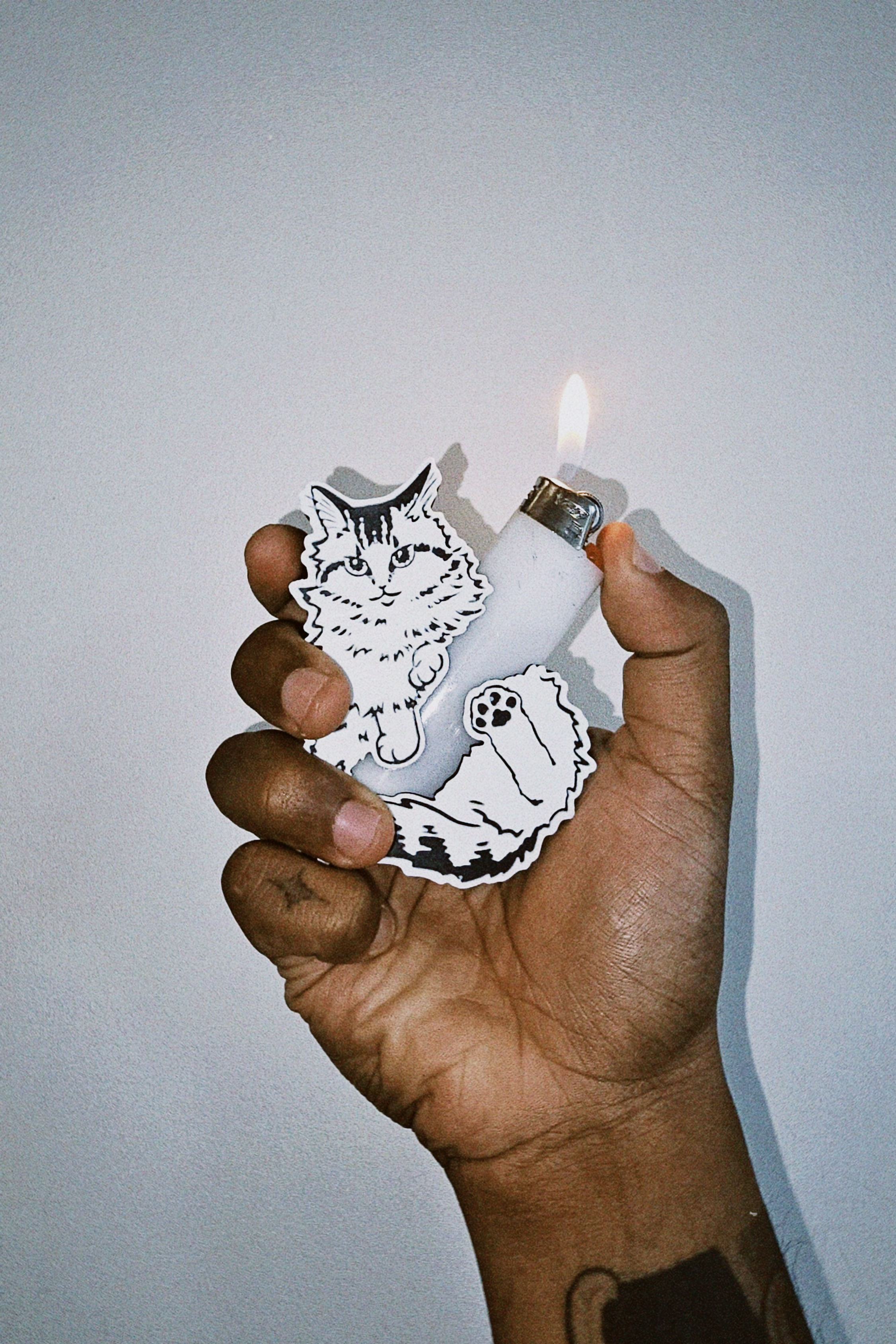 Boji Cat Lighter Case