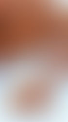 Mexican Chapulines (Seasoned Fried Grasshoppers)