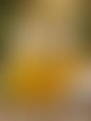 Cooking Without Seed Oils and Additives: MAHA-Friendly Recipes