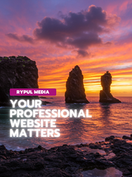 Why Every Small Business in Hawaii Needs a Professional Website