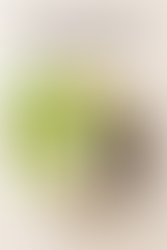 Dandelion Root: The Ultimate Ally in the Fight Against Spike