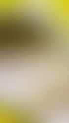 Plantain Fufu (West African Side)