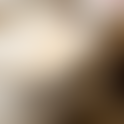 Maple Pecan Bulletproof Coffee (Nutty Fall Vibes)