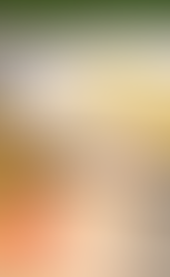 Surströmming (Swedish Fermented Herring)