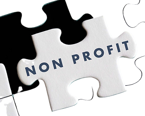hawaiian defense services non profit