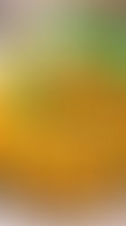 15 Budget Indian Curry Recipes Under $5 Per Serving (MAHA-Friendly)