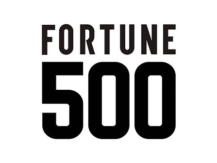 hawaiian defense services fortune 500 image
