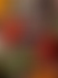 Savor Spices: 25 Essential Spices, Marinades, Sauces, and Glazes for Every Kitchen