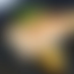 Grilled Mahi Mahi (Island Fresh Fish)