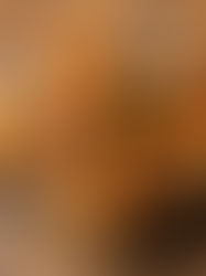 American Rocky Mountain Oysters (Fried Bull Testicles)