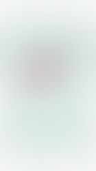 Why 30-Minute Meals Matter