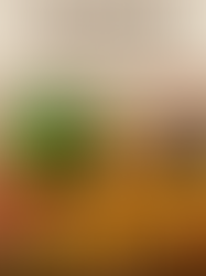 Processed Foods and Hidden Dangers Are You Risking Your Health