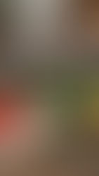 Savor Mediterranean — The Seed Oil Free Mediterranean Cookbook That Honors the Tradition