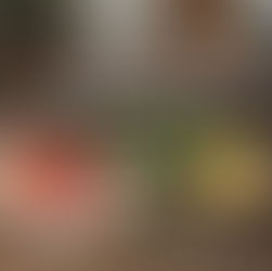 Savor Mediterranean — The Seed Oil Free Mediterranean Cookbook That Honors the Tradition