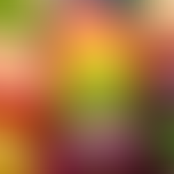 French Macarons (Colorful Almond Meringue Sandwiches)