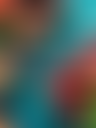 NAD-Boosting Foods: Eat Your Way to Cellular Repair & Longevity