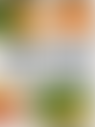 How to Master Meal Prep for a Healthy Lifestyle