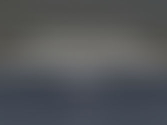 Why  'The War of Ideas'  is important.