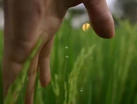 Your Consciousness is What Matters at the End of The Day - Sam Harris