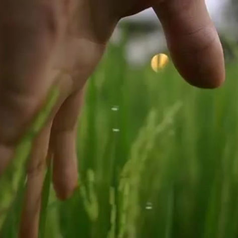 Your Consciousness is What Matters at the End of The Day - Sam Harris