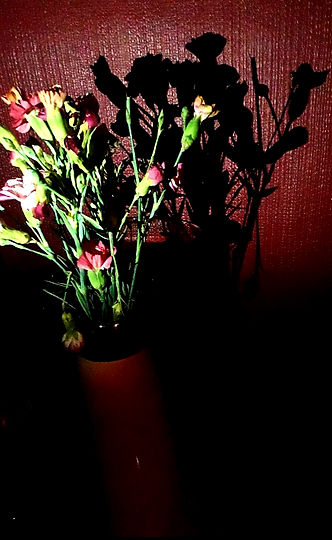 20210130_211523.jpg