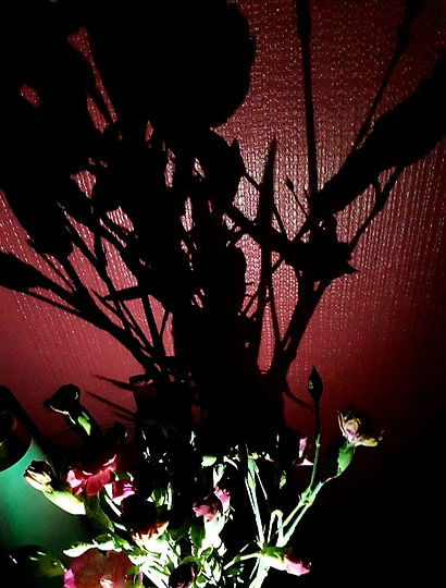 20210130_211429.jpg