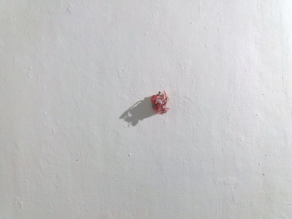 429.jpg