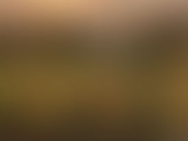 O VINHO DO MÊS: A FILIPPO IGT 2008