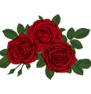 Elementos Decorativos (1).png