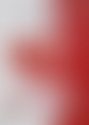 A Ciência na Cozinha e a Arte de Comer Bem