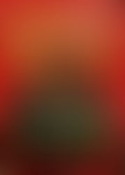 Cabaña del Asado Pinheiros