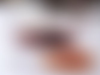 Aconteceu - Conhecendo a Itália