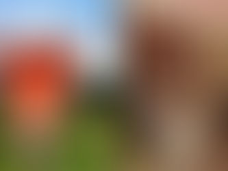 Espumantes nacionais bons e baratos