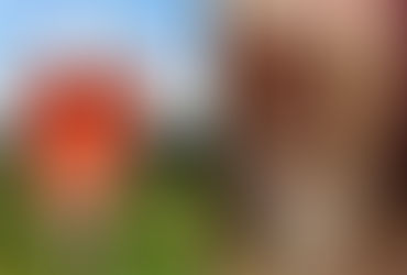 Espumantes nacionais bons e baratos