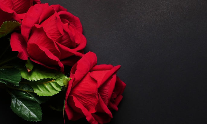 red-roses-flowers-krasnye-rozy-tsvety-ch