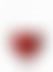 Aconteceu - Curso de Formação e Introdução ao Mundo do Vinho