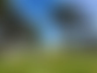 O que fazer em Campos do Jordão