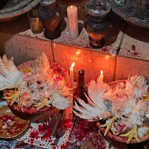 Jogo de Búzios em Goiânia
Previsões para o Futuro em Goiânia
Rituais Espirituais em Goiânia