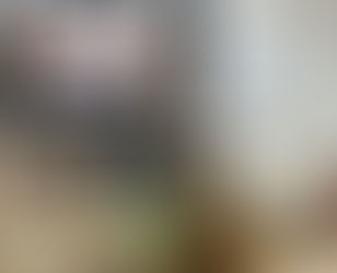 Degustação Penedo Borges - 20/08/24