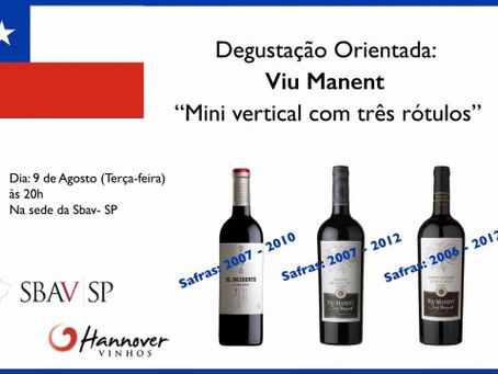 Degustação Orientada - Viu Manent - "Mini vertical com três rótulos"
