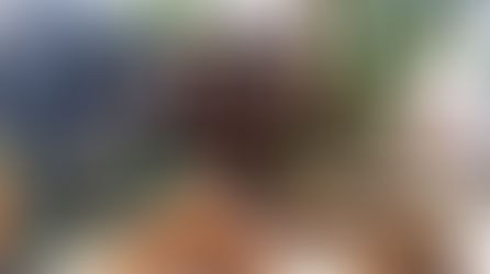 Gansaral Café e Casa de Cultura no Campo Belo